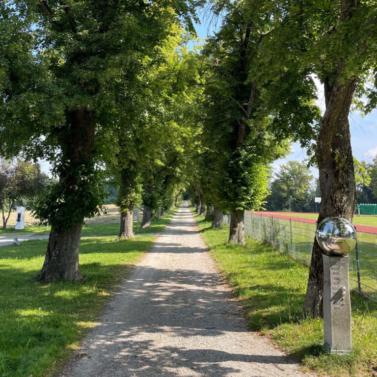 Lindenallee freigegeben, Sternwarte wieder geöffnet!